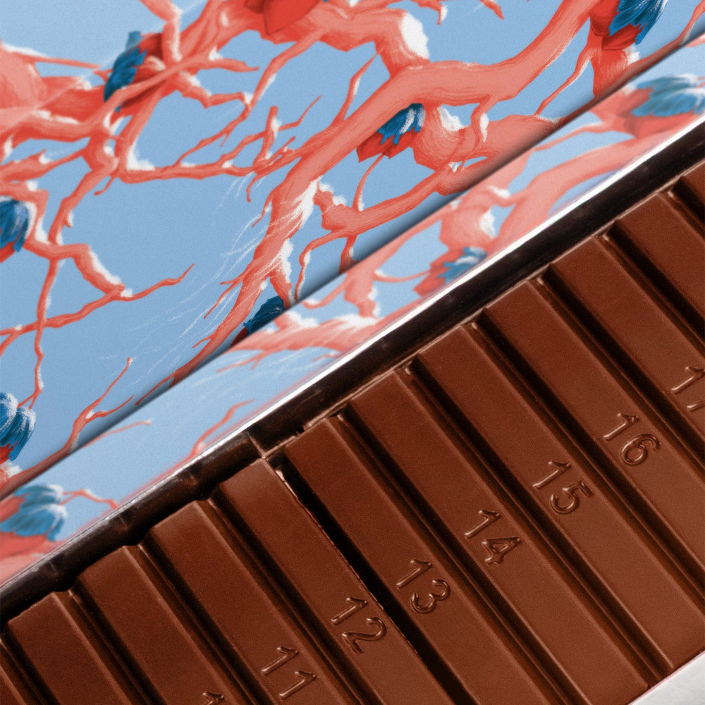 Calendrier de l'avent originale sous forme de tablette de 24 chocolats pralinés par Cavaletti Paris. 24 barre pralinées numérotées.