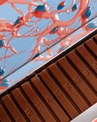 Calendrier de l'avent originale sous forme de tablette de 24 chocolats pralinés par Cavaletti Paris. 24 barre pralinées numérotées. 